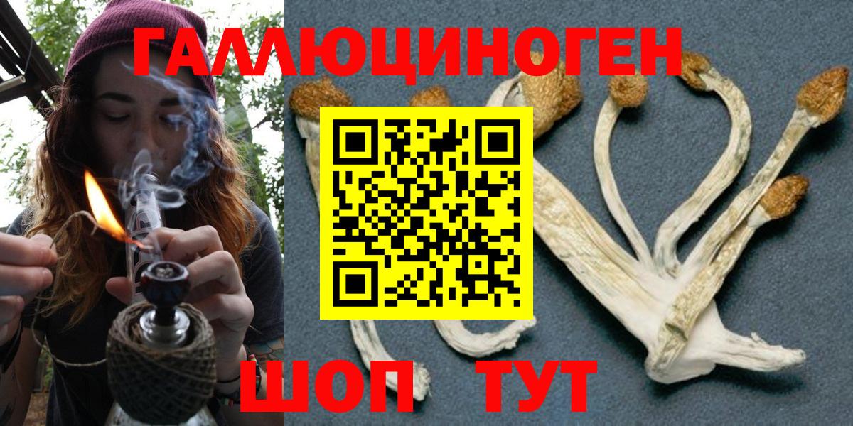 Галлюциногенные грибы Cubensis Ипатово