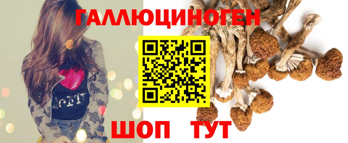Псилоцибиновые грибы мухоморы  закладки  Ипатово  Вход с VPN 